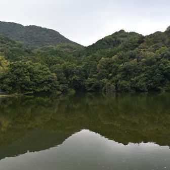 下山中、大池と二上山