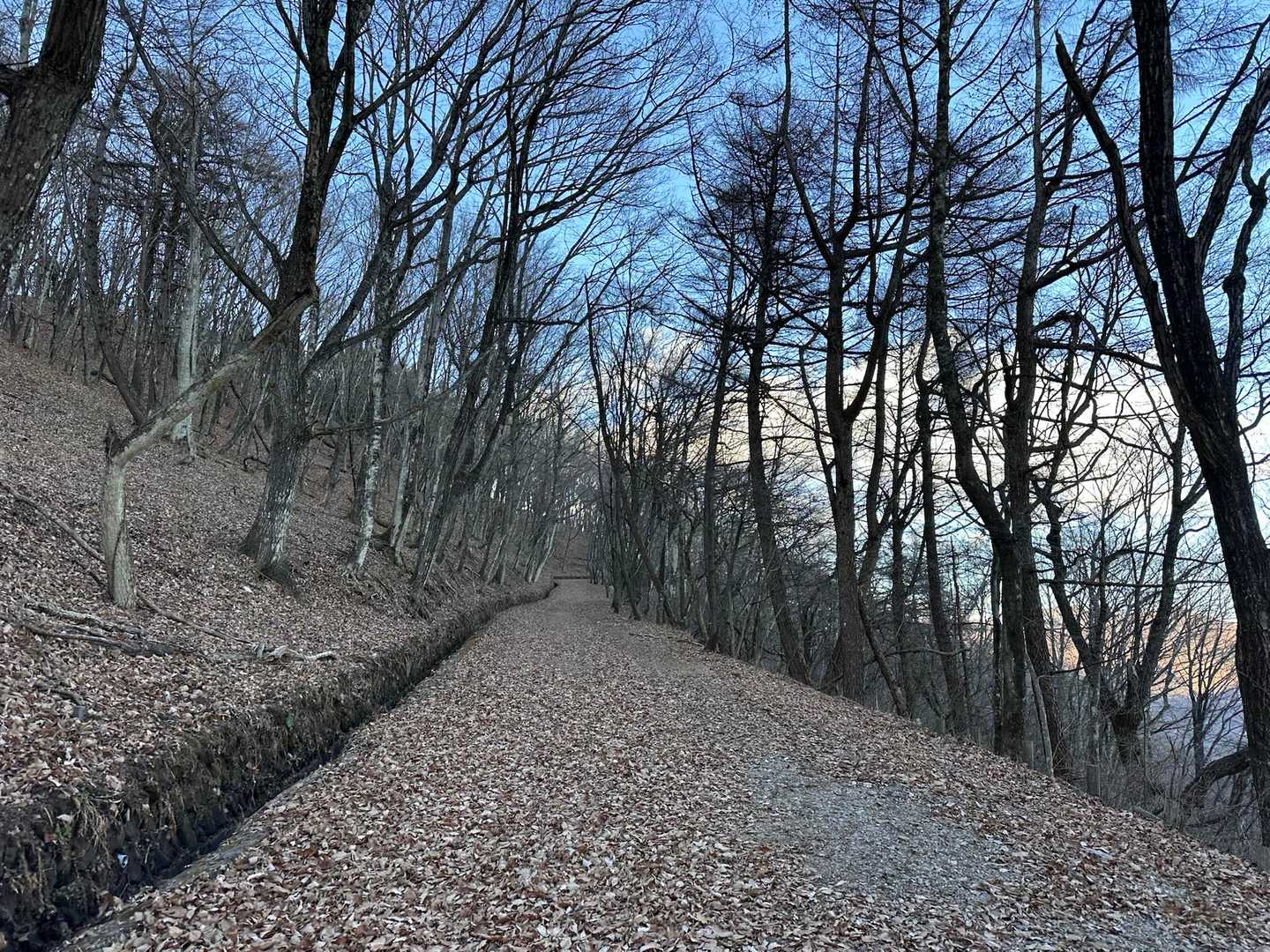 離山 往復コースの写真