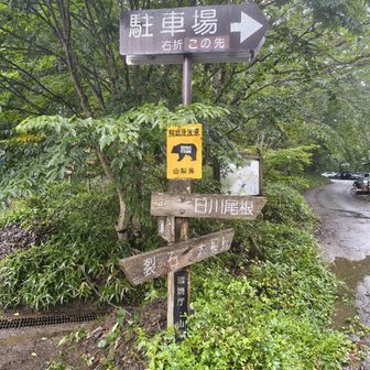 上日川峠に到着。