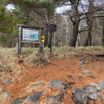 やっと、やっとこさ下山しました。
あー、大変やった。