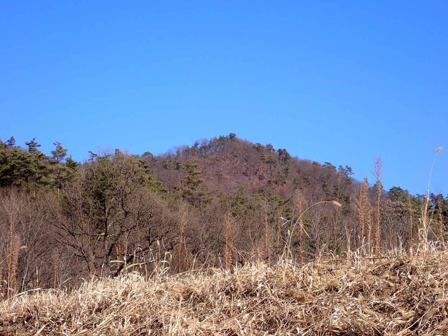 東山