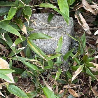 少し離れた所に三角点
