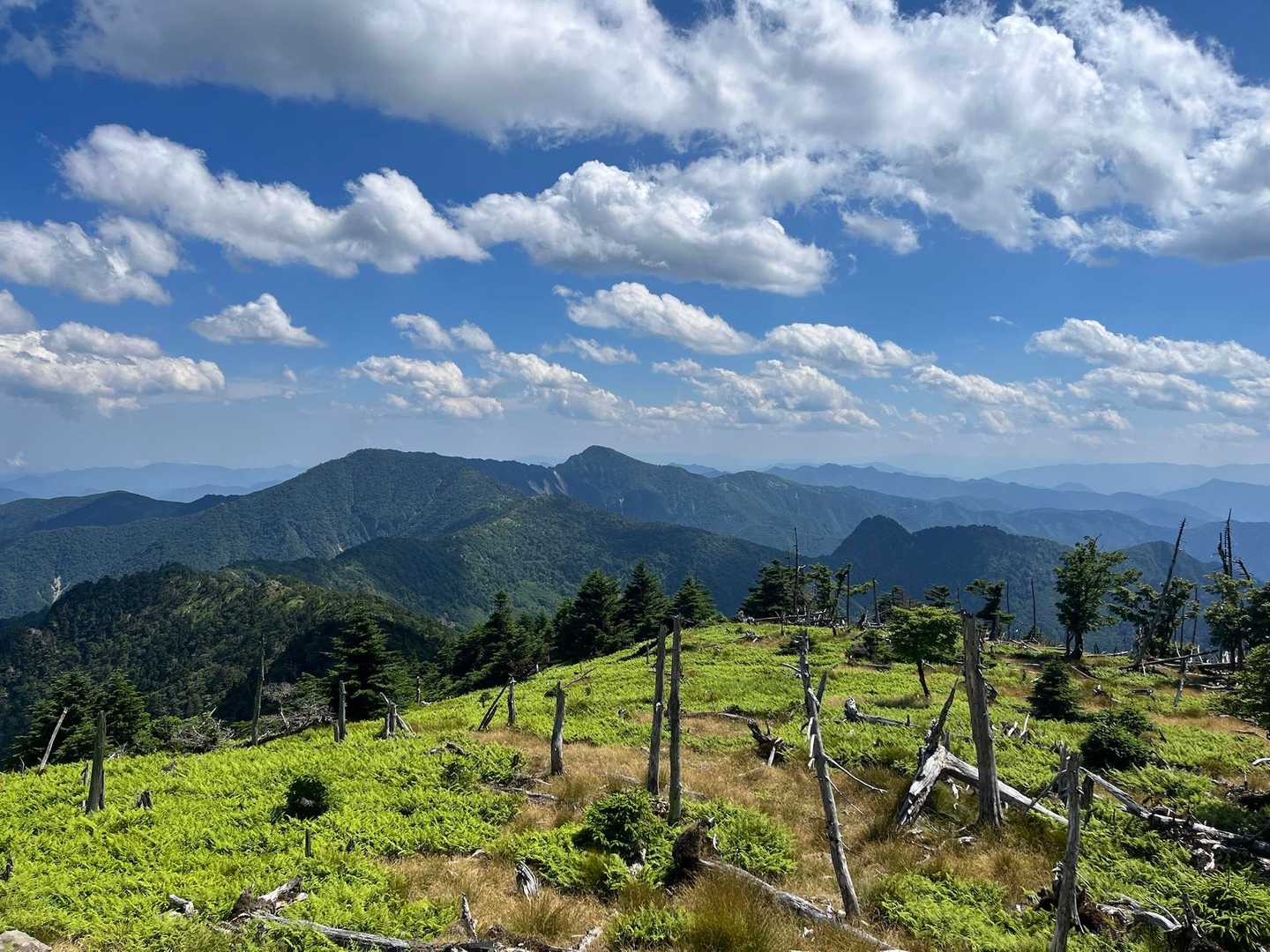 風が心地いい