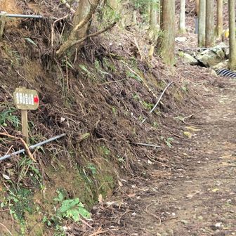 お寺を越えると普通の登山道になります