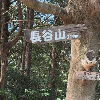 山名板
山頂には遥拝所があるが，樹木に覆われ眺望はない