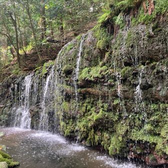 この後、小涌谷で小田原行きのバスに遭遇🚌
箱根湯本まではバスで移動しました☺️
吊り革を持つ腕と踏ん張る脚でグネグネ道の揺れに耐え、体感を鍛える良いトレーニングとなりました😂