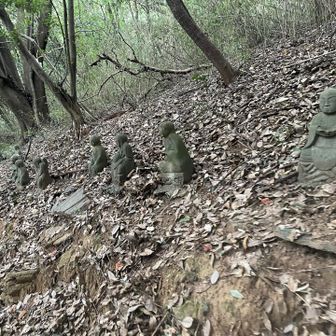 みんな違う！