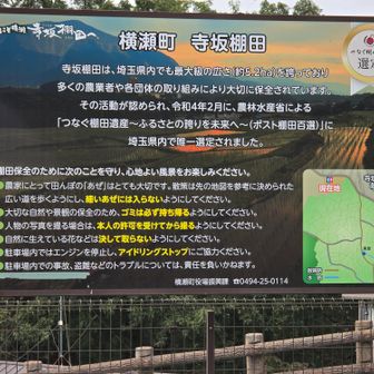 寺坂棚田は、2022年2月に、農水省による
「つなぐ棚田遺産～ふるさとの誇りを未来へ～（ポスト棚田百選）」に
埼玉県内で唯一選定されました。

「彼岸花まつり」も有名で、多くの人が訪れます。
稲刈りと稲木掛け（ハザ掛け）の体験会もやっているようです。