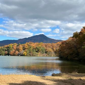 宝が池と、その向こうに 比叡山✨

ボートも浮んでいます🛶
水鳥も少しいましたが🦆 遠くてよくわからず…😅

それでは、３座目のお山に向かいます🐾