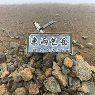 東雨乞岳

やっぱり鈴鹿の山は優しくないね
めっちゃしんどかった
三人山からぜーぜーはーはーだよ

ここは風の通り道なのか爆風
しかもガスって眺望ゼロ
長居は無用だね

御嶽も酷かったけど、雨がなかっただけ良かったよ

