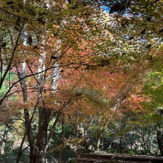 上を向いて歩こう‼️