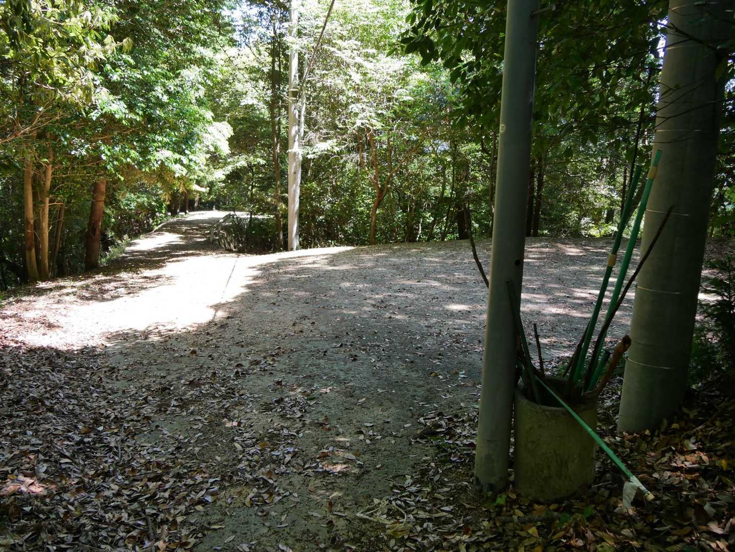 国分寺から少し下りたとこには登山口っぽいとこがありました🥾
杖も置いてあり数台停めれそうなスペースありますがここまで🚗で来ると下擦ったり木の枝でボディ傷つくかも知れんので自己責任で😅