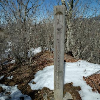 黒富士山頂。
ここでカレーパン立ち食い。
この少し先に展望台があります。