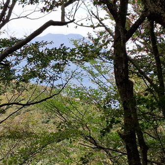高岳