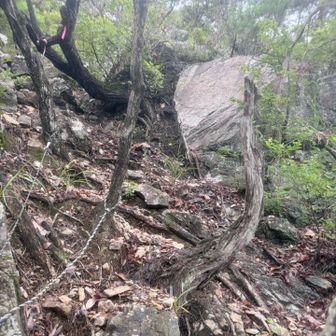 今回のコース　倒木以外ではココが最大の難所のようです