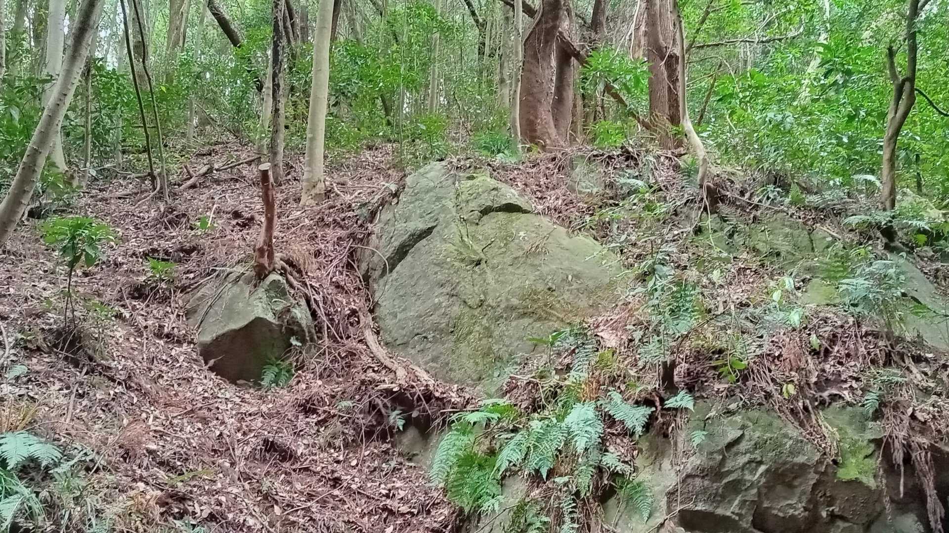 癒し系おかめさん😆🎶
この顔見れば誰でも和むでしょう🤭