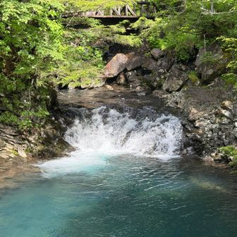 綺麗な水☺️