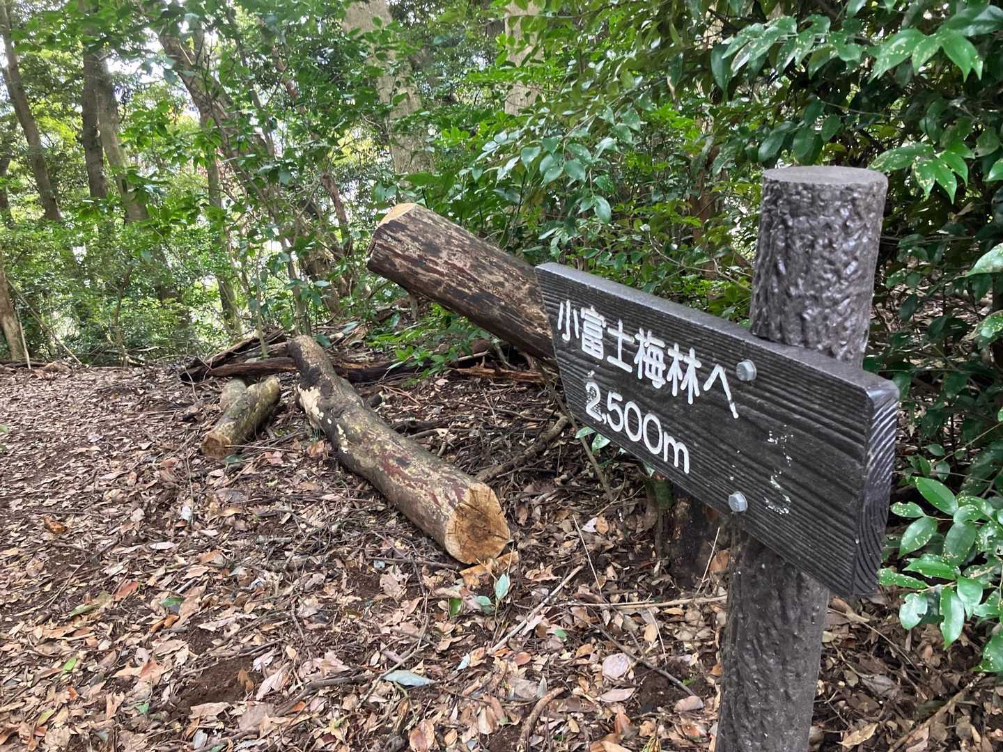 可也山登り口-可也山 往復コースの写真