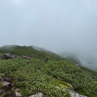 下山します