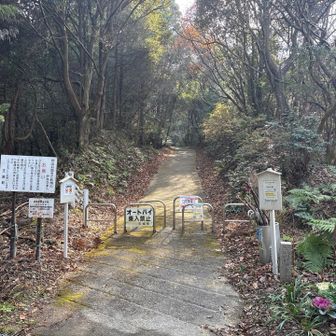 駐車場から歩く。まずコンクリート道をゆく