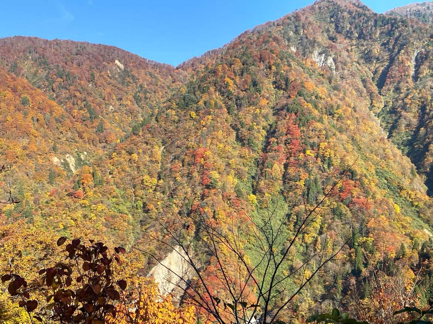 中山登山口-中山 往復コースの写真
