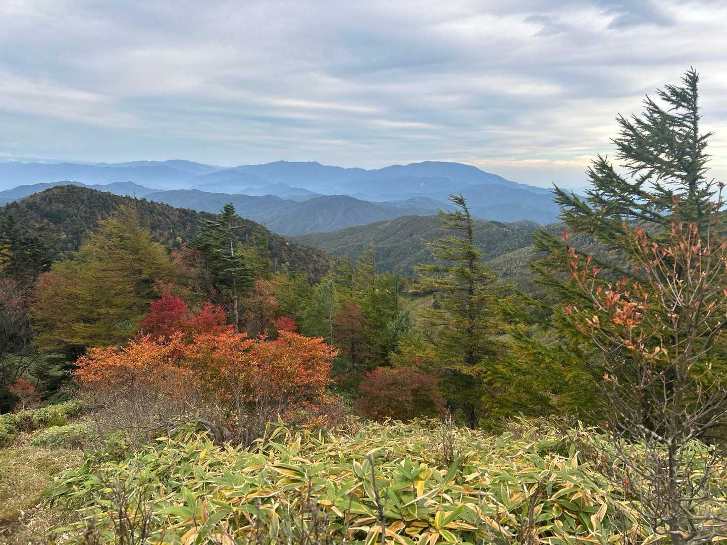 摺古木山-白ビソ山-安平路山 往復コースの写真