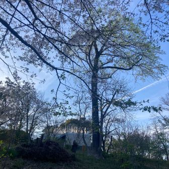 つつじ山山頂展望台
（トイレの屋上です♪）