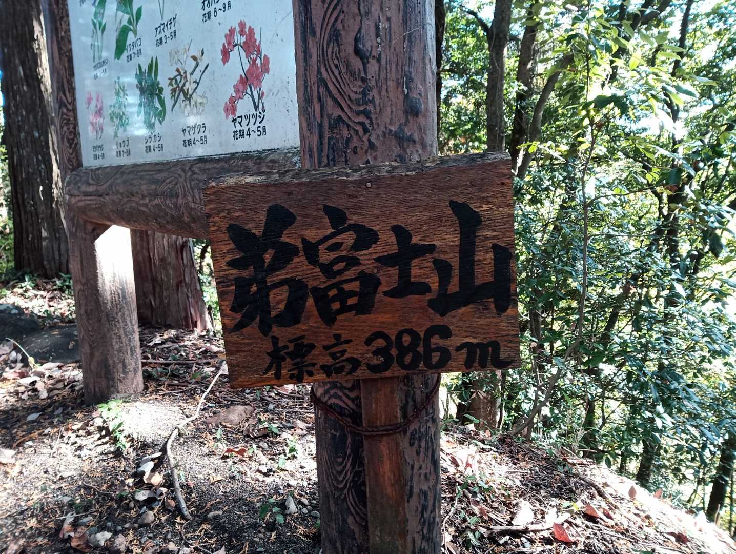 弟富士山の写真