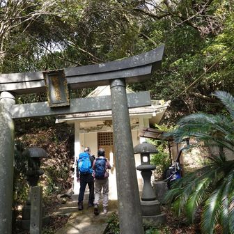 秋葉大権現
四座目