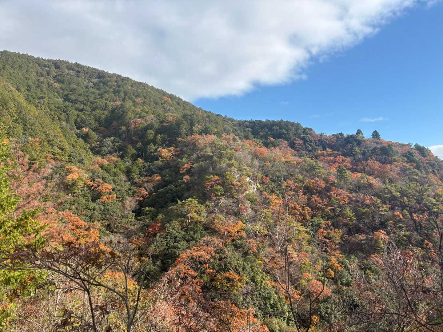 丹生神社-丹生山-帝釈山 往復コースの写真