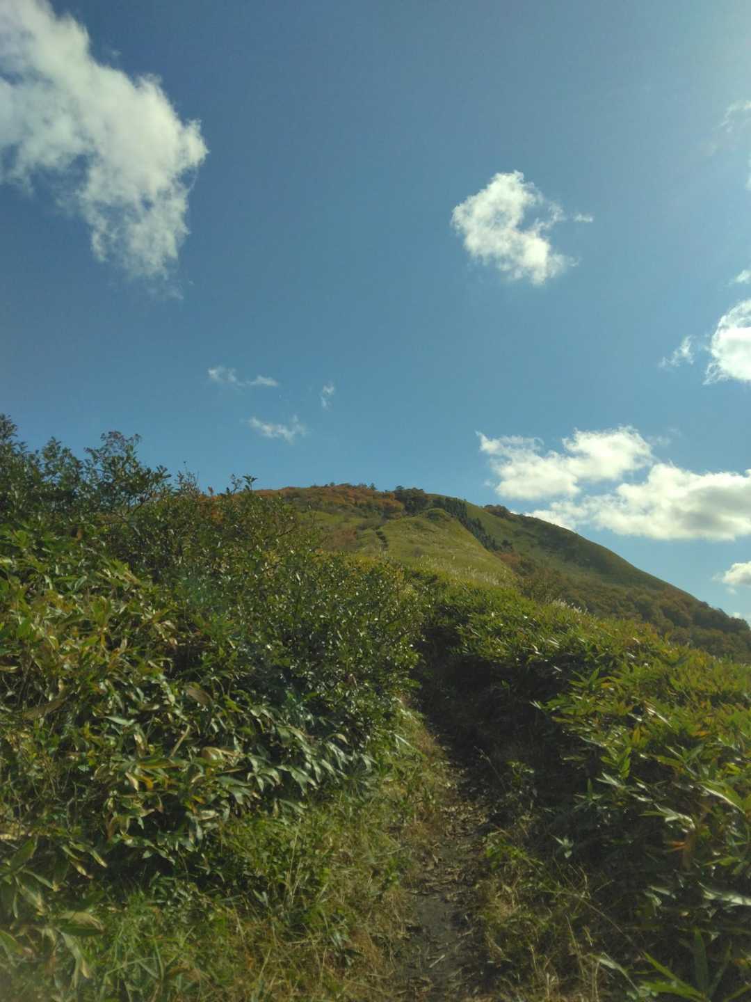 上蒜山登山口-槍ヶ峰-上蒜山-中蒜山-日留神社-中蒜山登山 縦走コースの写真