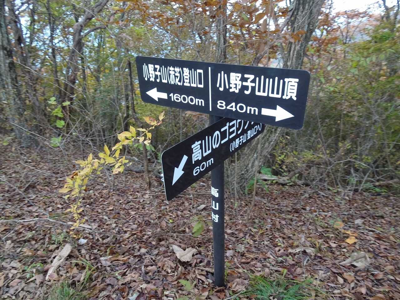 まだまだでした…😱