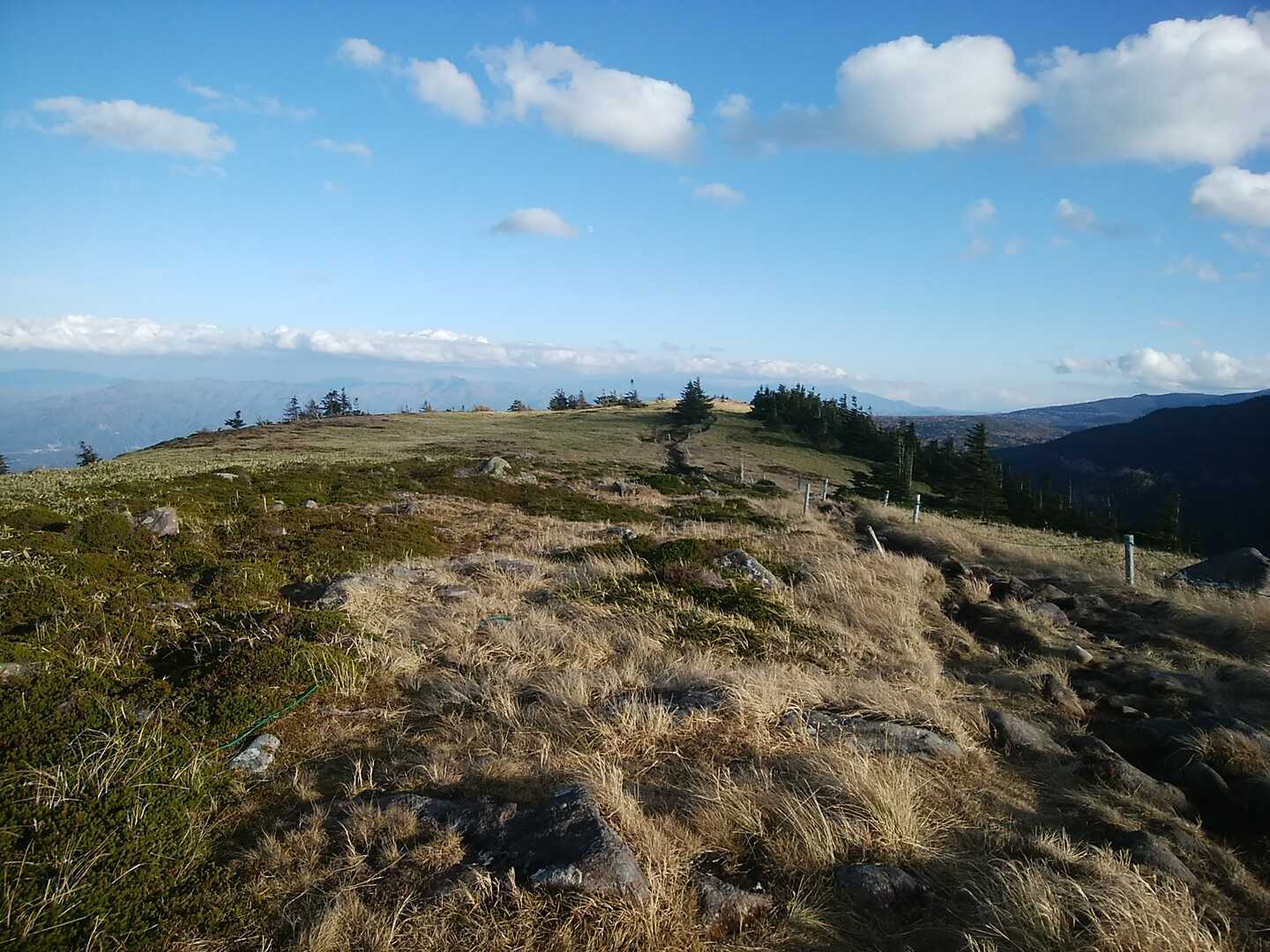 双子山の写真