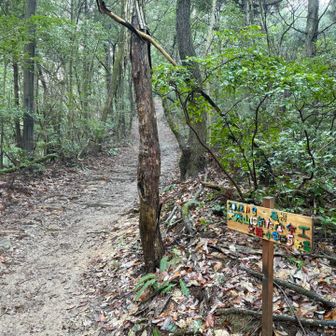 カラフル看板🌈