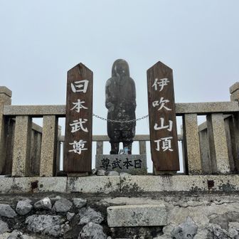 ヤマトさん、お久しぶりです