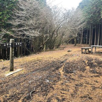 不老山（北峰）。山名看板あり。ベンチがあったので昼食。お腹がすいた。今日は山内で誰にも会わないかと思っていたら、3人組の登山者と出会った。こっちもびっくり、あっちもびっくりという感じ。