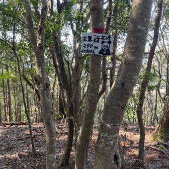 三界坊北峰に着きました、
先日、日踊山から来たところまでつなぎたかったが、ロストも有ったのでちょっと無理みたい。
展望もないので三界坊に戻ります