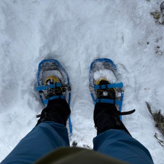 スノーシュー装着