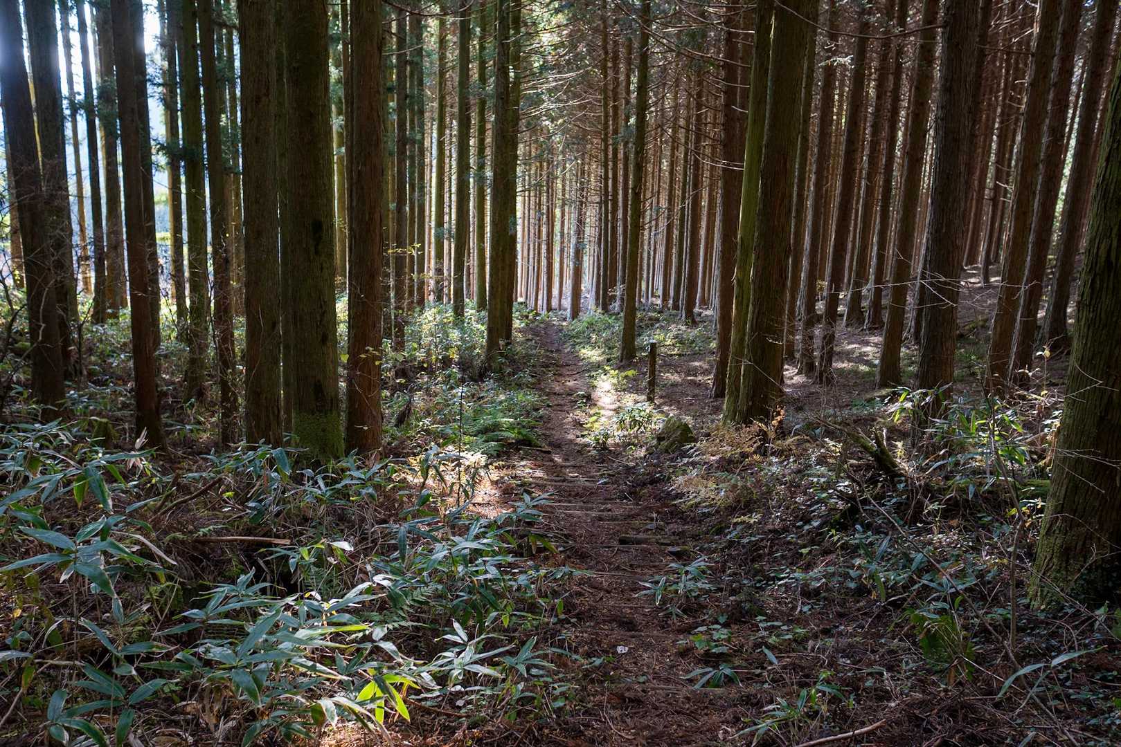 帰りもよき風景