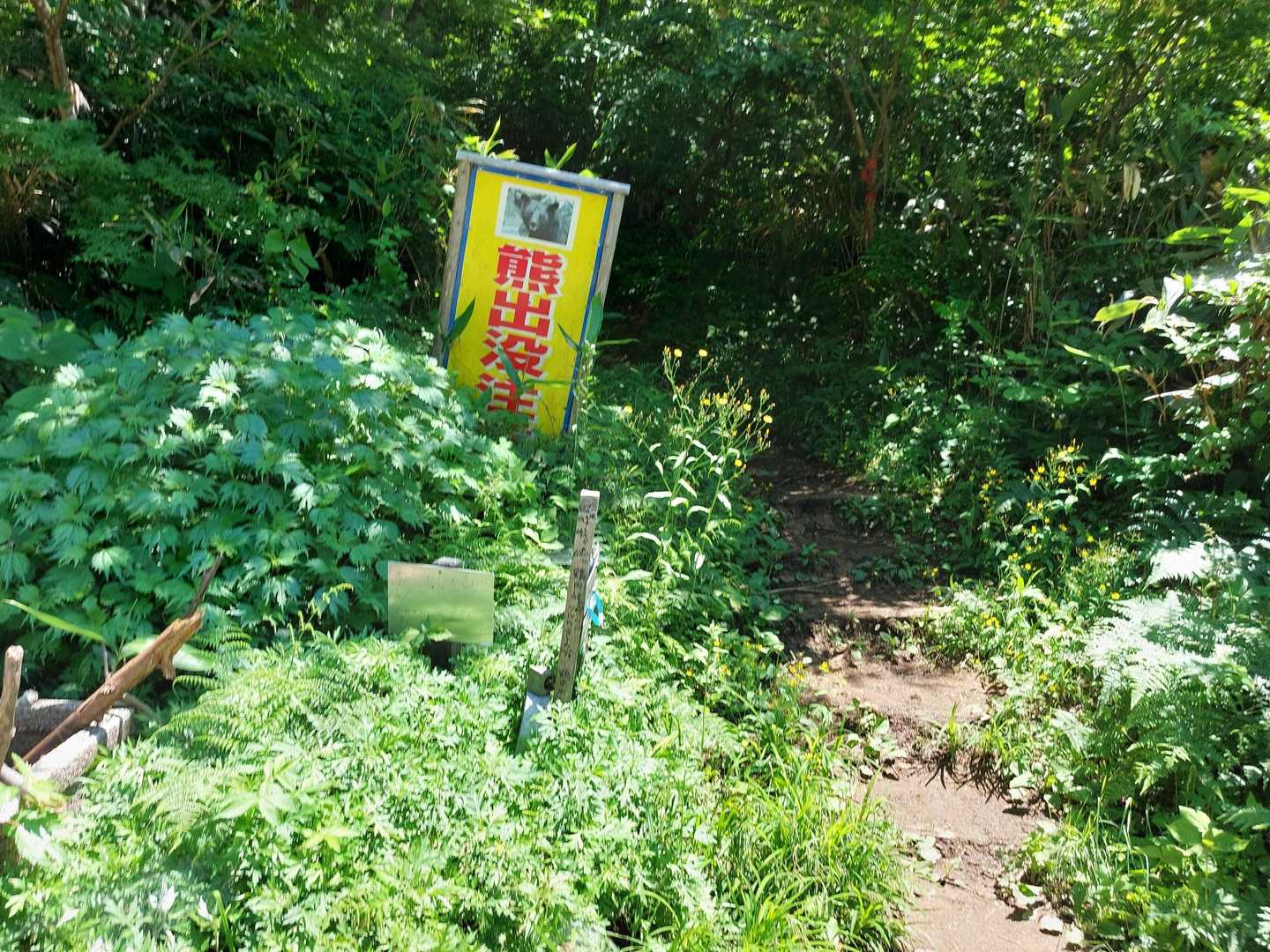 🐻にも会わず、帰って来れました
ホッ良かったです😄