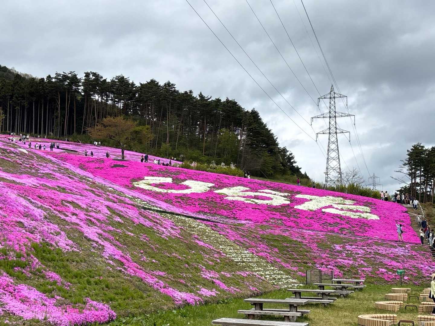 「ひらた」の文字😊