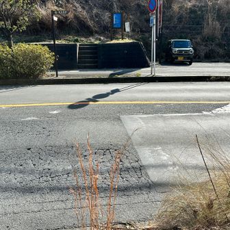 帝塚山大横に降りてくる。
ここの車道を横断しないといけないけど、車がほんまに途切れない💦
結局、横断歩道まで歩くことに🚶