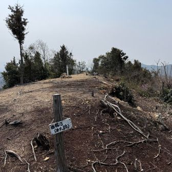 福井山は山城だったんやね
