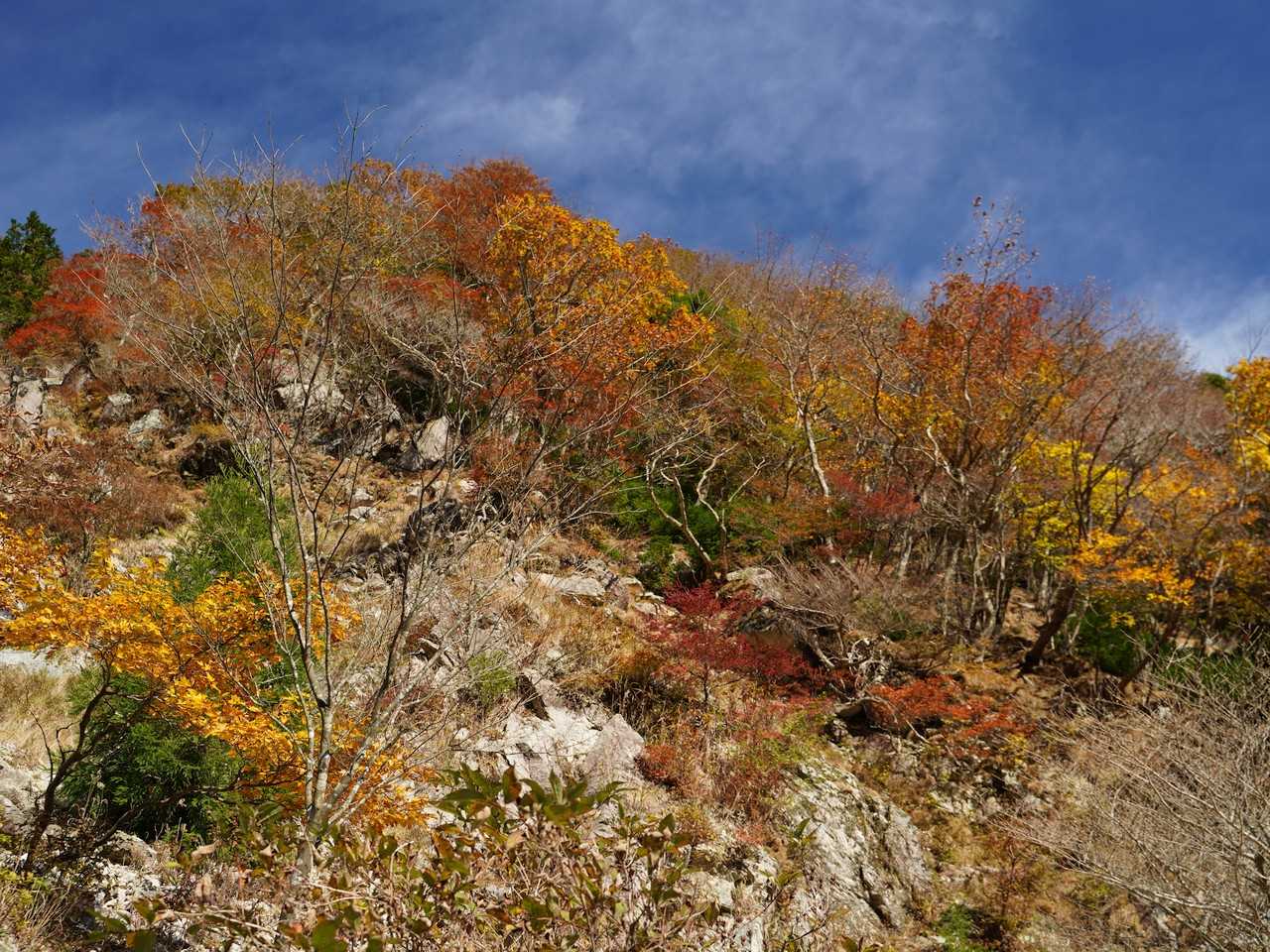 中登山口-御在所岳-国見峠 周回コースの写真