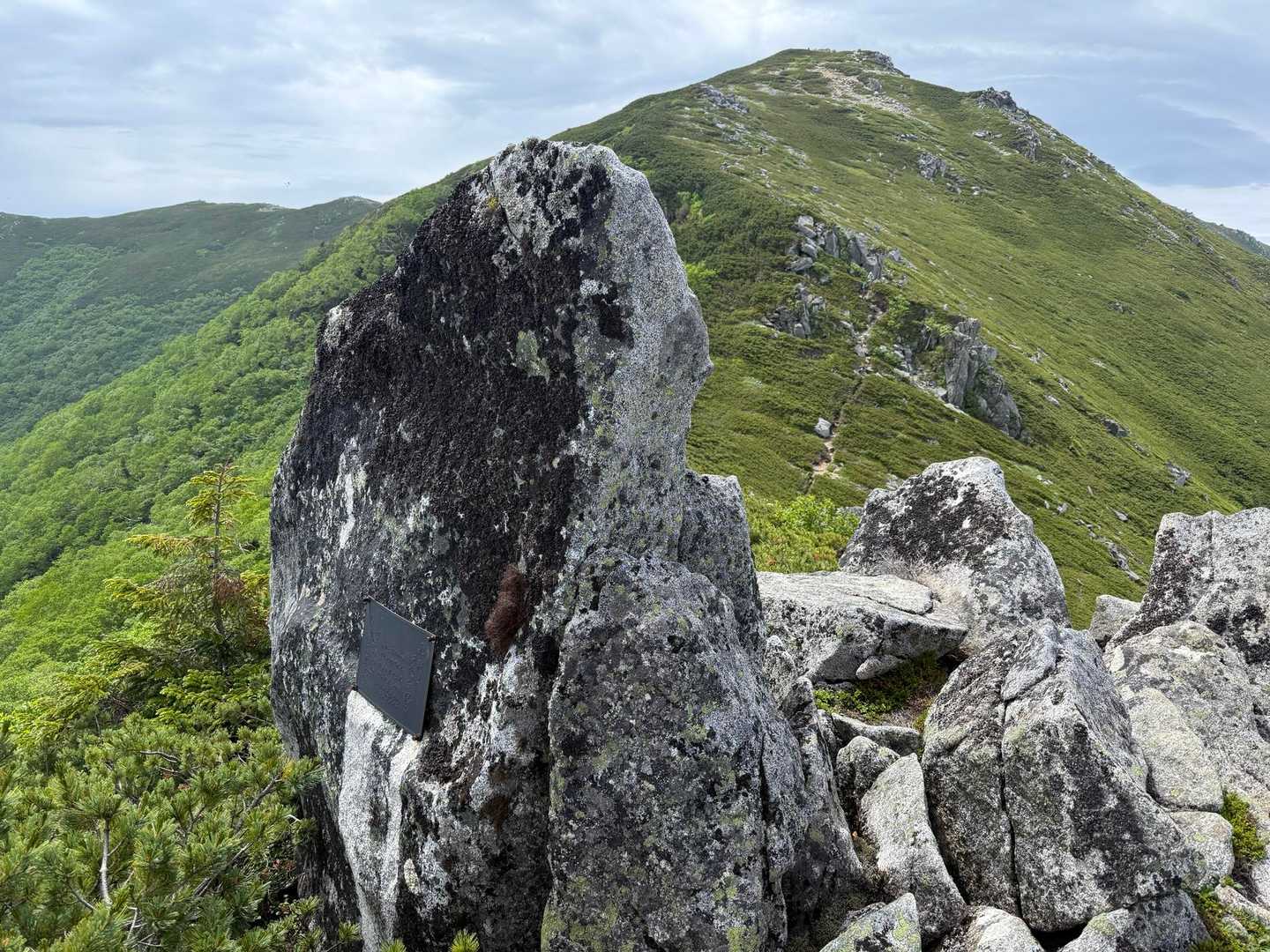 桂小場登山口-将棊頭山-将棊ノ頭-茶臼山 往復コースの写真
