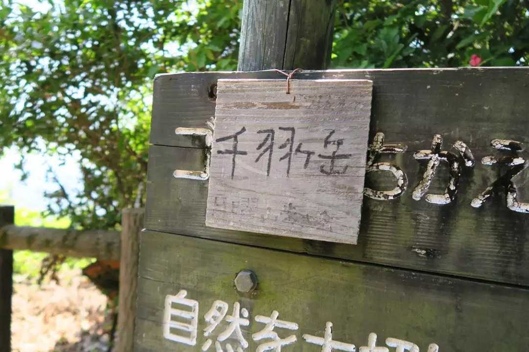 千羽ヶ岳の写真