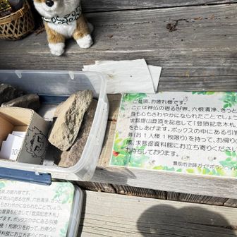 木札の引換券もらいます