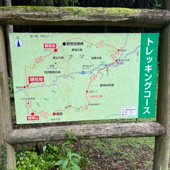 下山

白米行こっと🍚