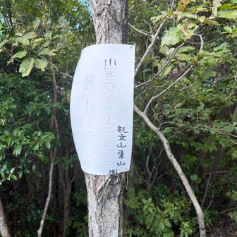 五座目
