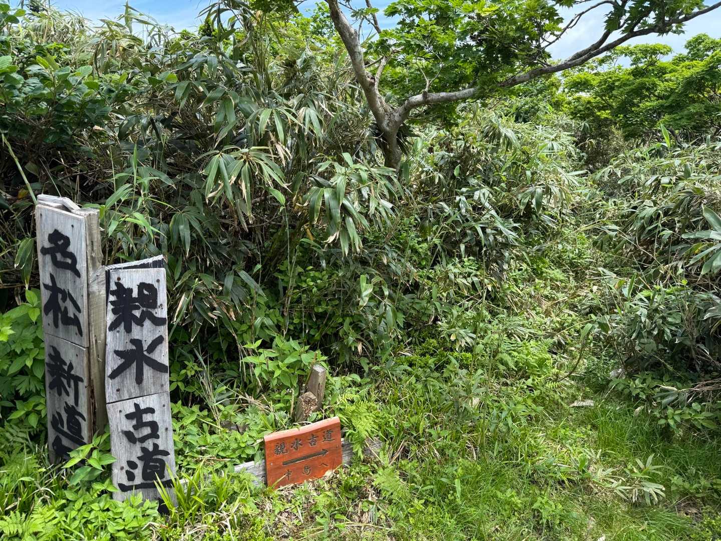 道がたくさんあって面白い😀いつか歩いてみたいな🎵